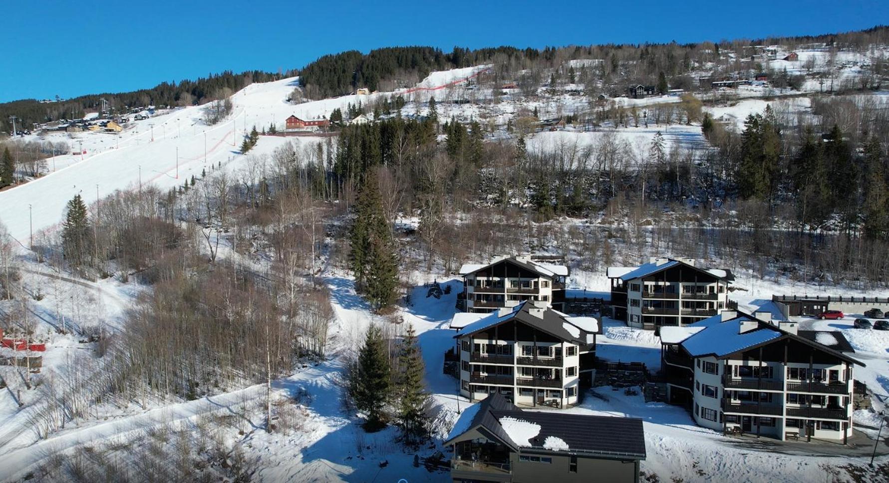 Lejlighedshotel Alpin Sørlia 4*
