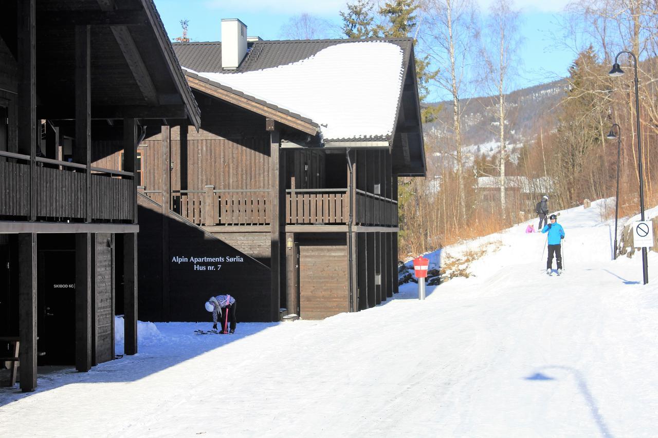 Alpin Sørlia Hafjell